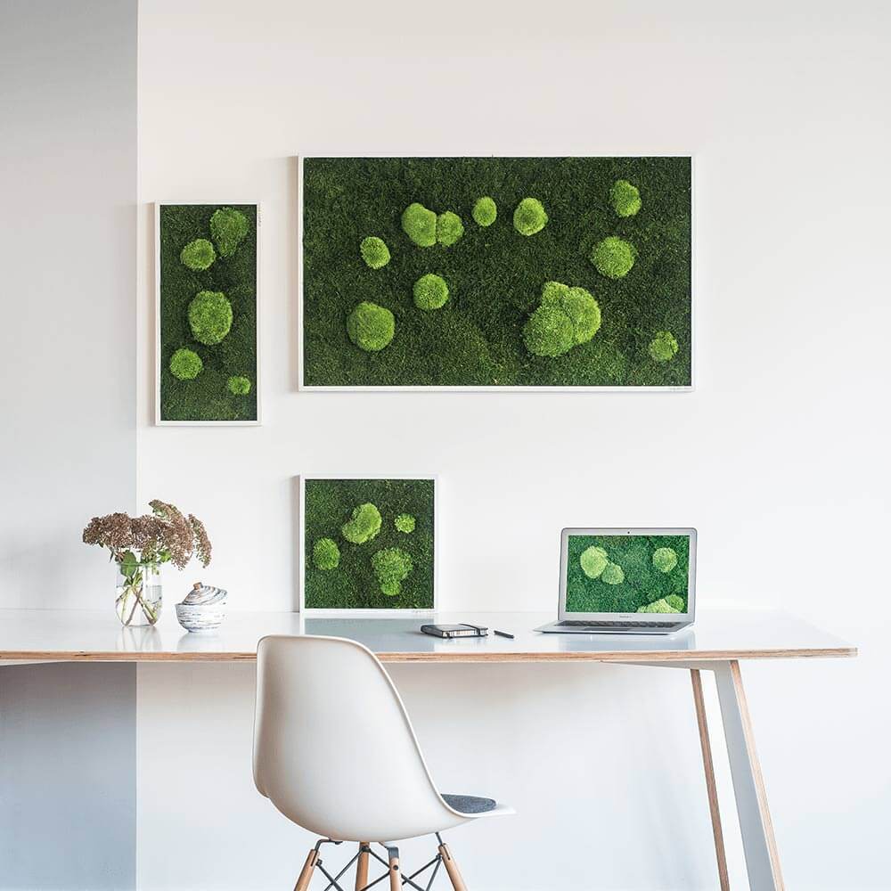 Moosbild im Wald- und Kugelmoosdesign | Beispielbild