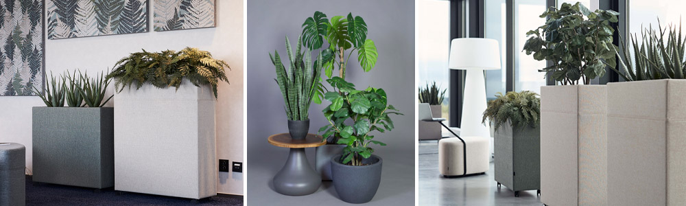 Gotessons-Pflanzen-Banner