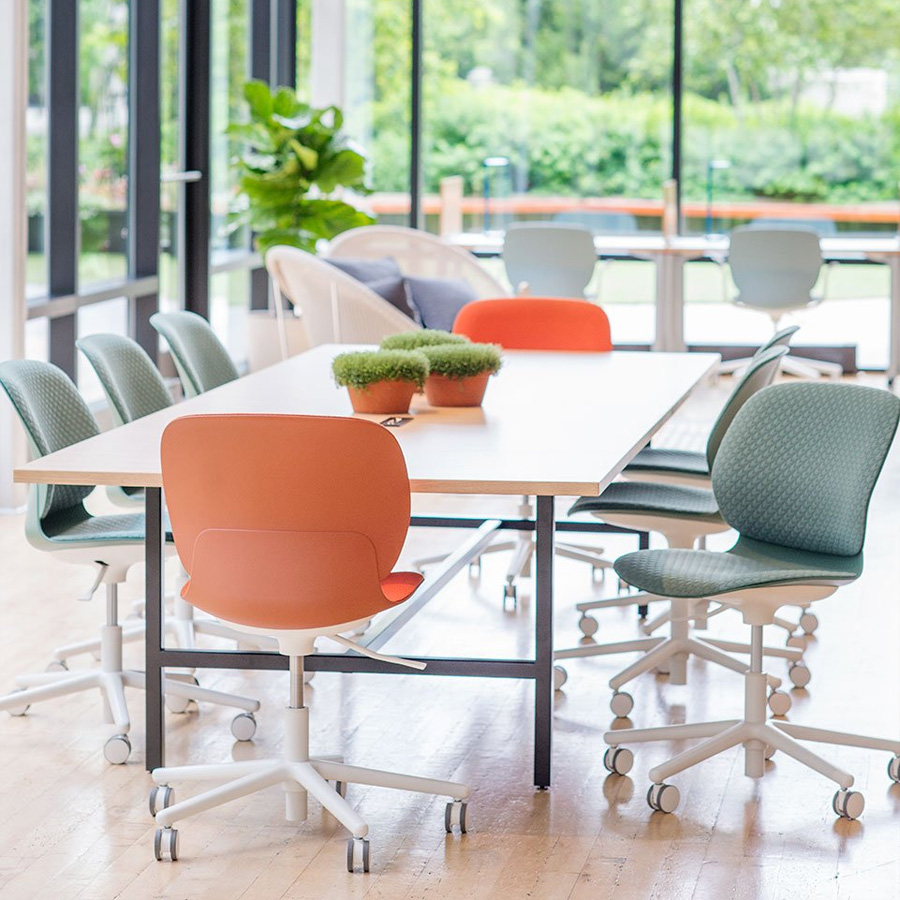 Haworth Maari - verschiedene Ausführungen