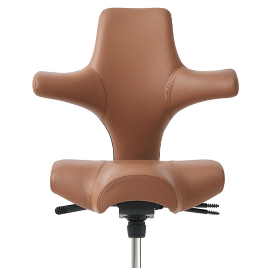 HAG Capisco 8106 - Leder Paloma Soft 5429 natur