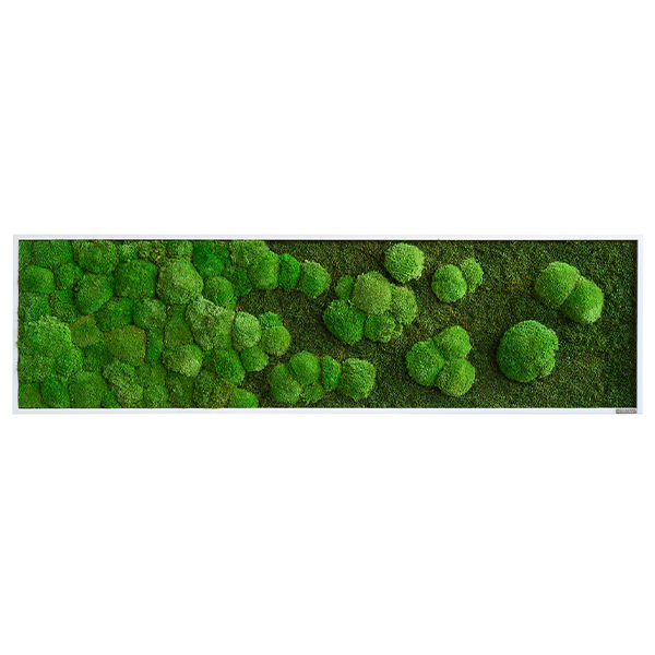 Moosbild im Wald- und Kugelmoosdesign mit Verlauf | 140x40cm | Vollholz Rahmen weiß