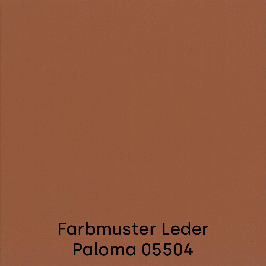 Farbmuster Leder Paloma 05504 coffee - Hinweis: Leder ist ein Naturprodukt und Farben können abweichen