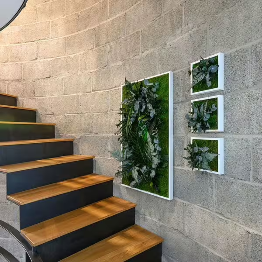 stylegreen Pflanzenbilder Beispielbild