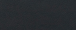 Leder anthrazit ATG55185