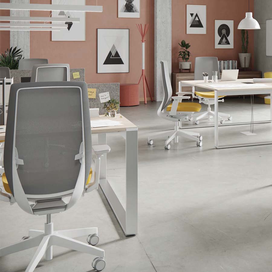 Profim AccisPro mit Netzrücken grau Beispielbild