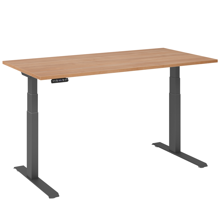 RWH RAPID Schreibtisch elektrisch verstellbar - Nussbaum - 160 cm Breite