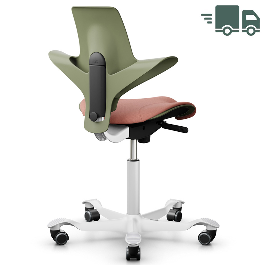 HAG Capisco Puls 8020 - Rücken Moss - Sitzbezug Light blush 64213 - Gestell weiß