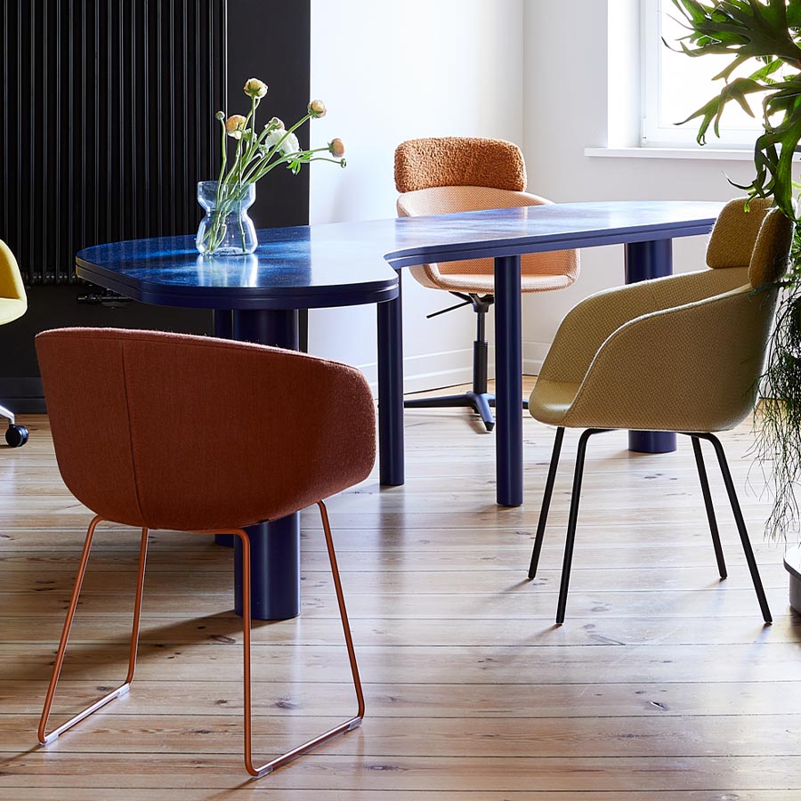 Noti Paxt Kollektion Beispielbild