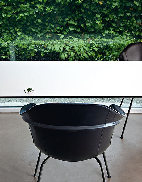 elephant vollnarbig Kristalia schwarz