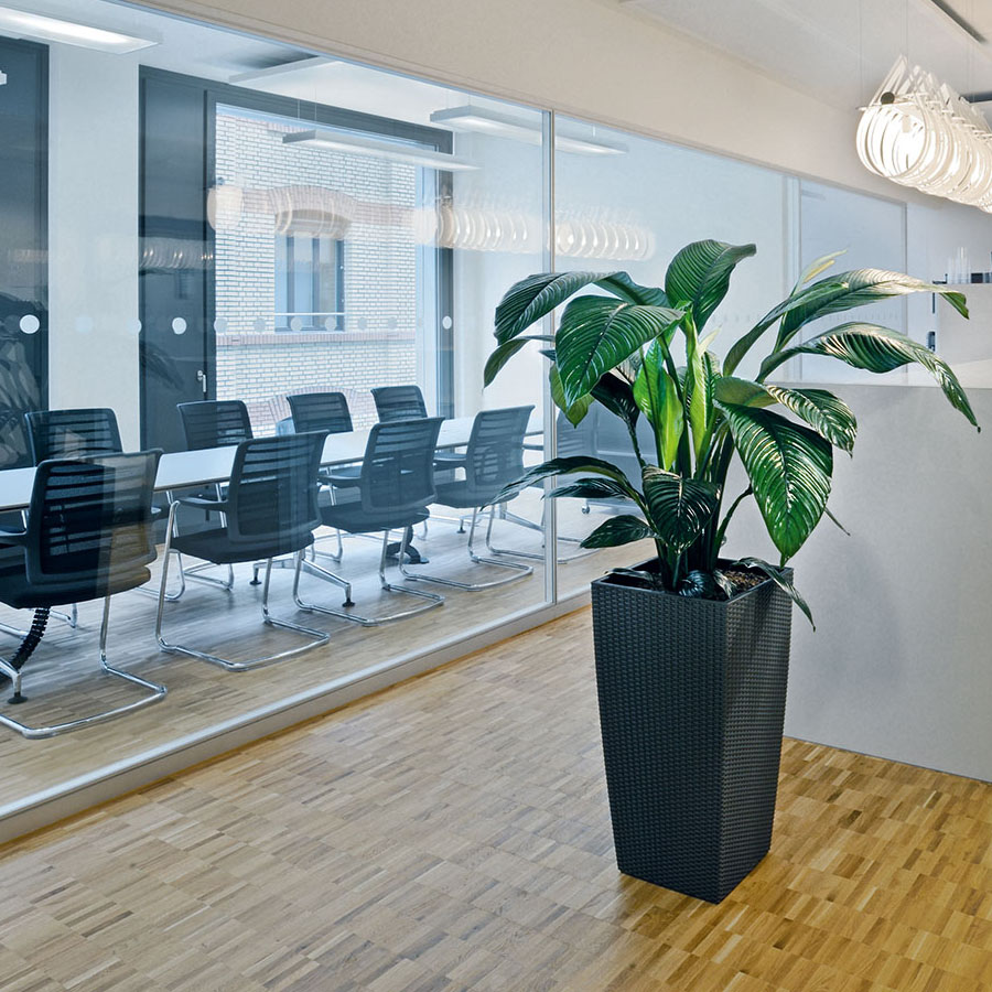 Interstuhl HERO Freischwinger Beispielbild