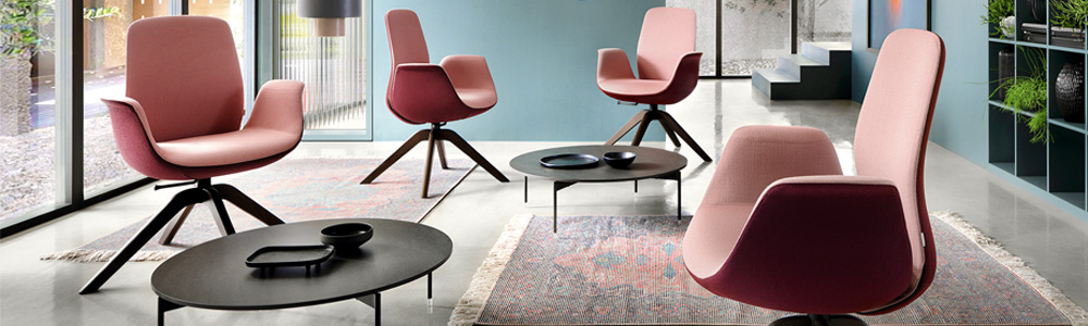 Profim-ElliePro-Banner-1