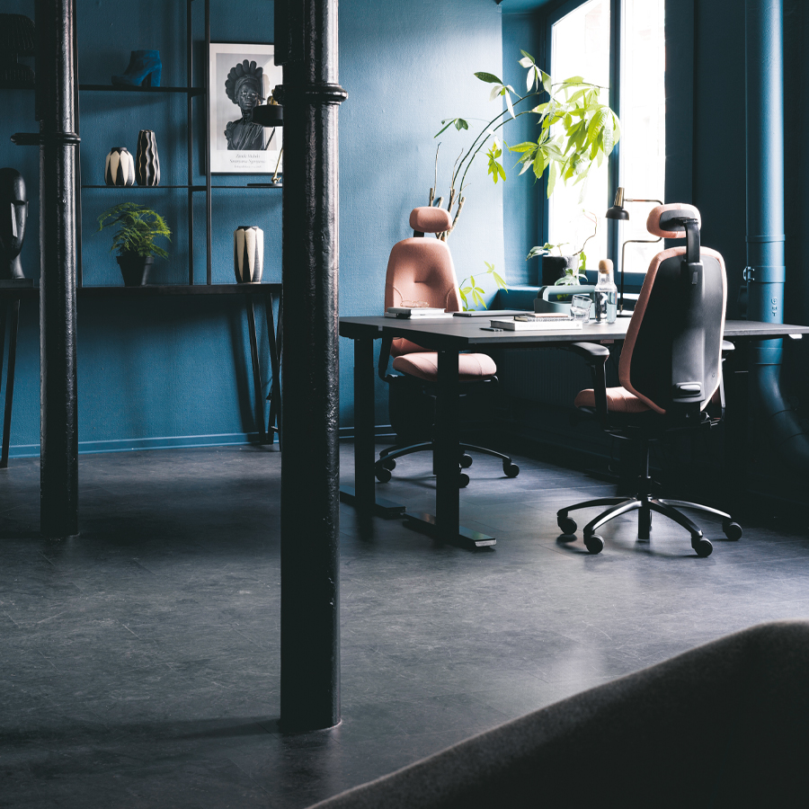 RH Mereo 300 hohe Rückenlehne - Beispielbild