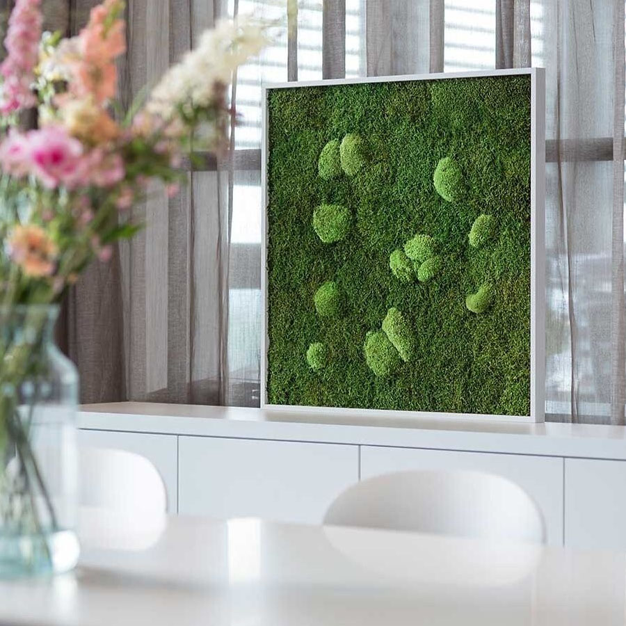 Moosbild im Wald- und Kugelmoosdesign | 80x80cm | Vollholz Rahmen weiß