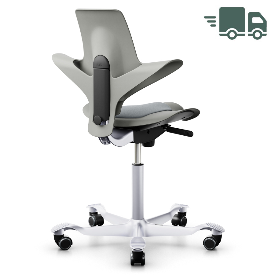 HAG Capisco Puls 8010 Clay mit schwarzer Stoffeinlage