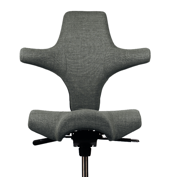 HAG Capisco Remix 163 Dunkelgrau