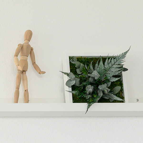 stylegreen Pflanzenbilder Beispielbild