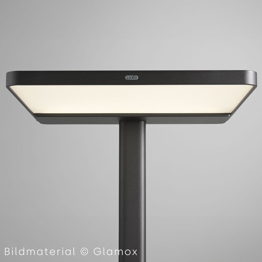 GLAMOX ADAPT-F LED Stehleuchte schwarz | Dimmbar | Nahaufnahme