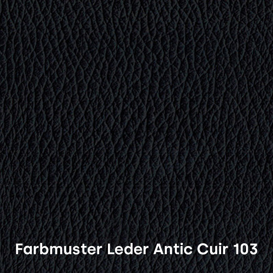 Farbmuster Leder Antic Cuir 103