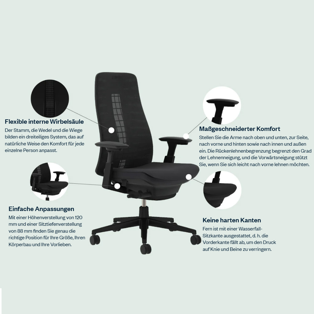 Haworth Fern - Vorteile auf einen Blick