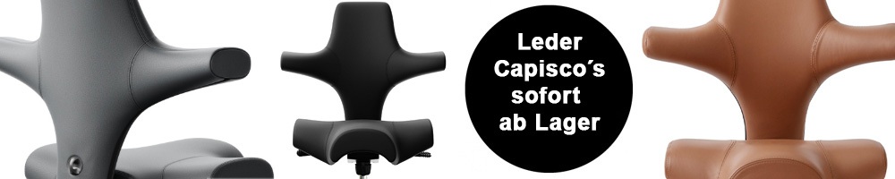 hag-capisco-leder-lager