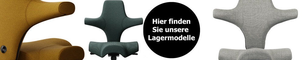 hag-capisco-lagermodelle