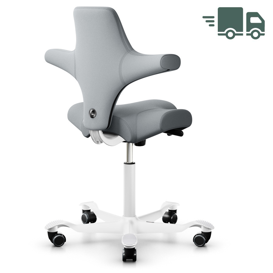 HAG Capisco 8106 - Stoff Select grau