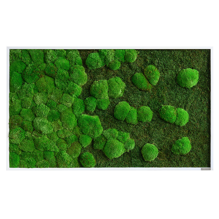 Moosbild im Wald- und Kugelmoosdesign mit Verlauf | 100x60cm | Vollholz Rahmen weiß