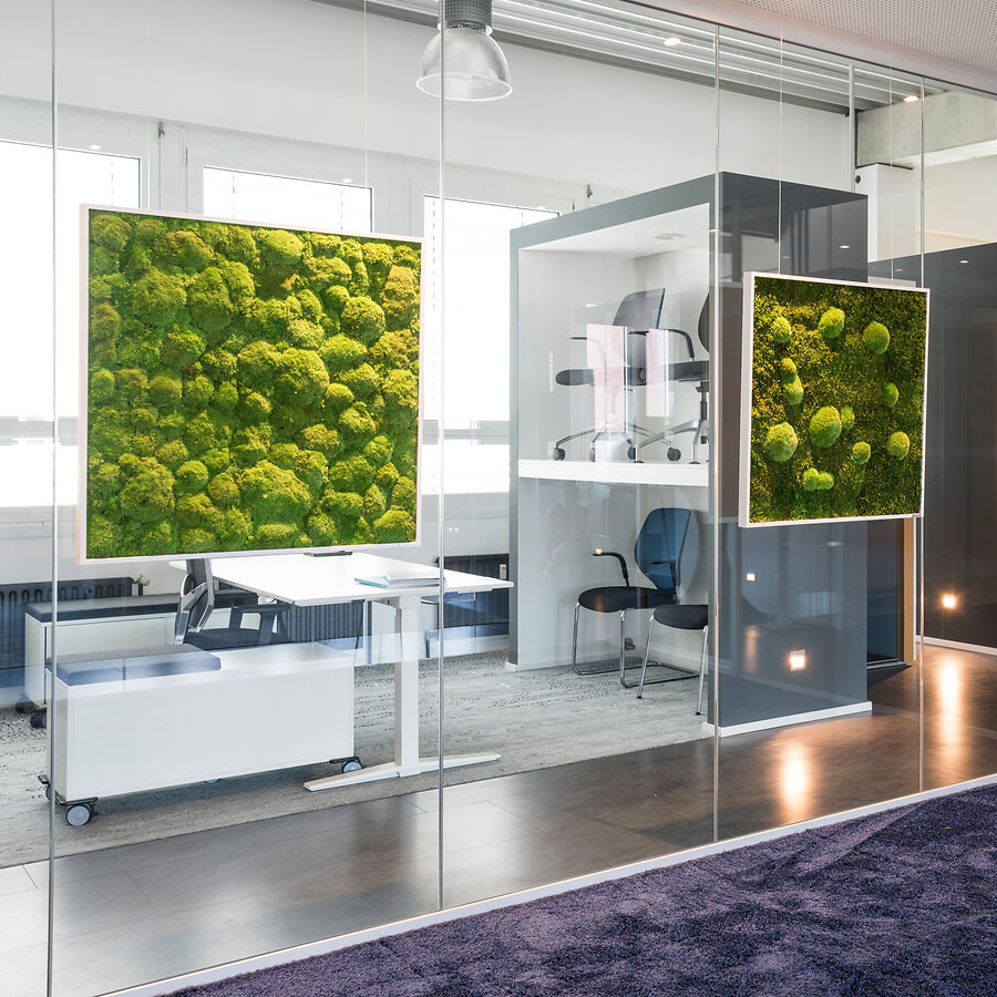 Moosbild im Kugelmoosdesign | Beispielbild