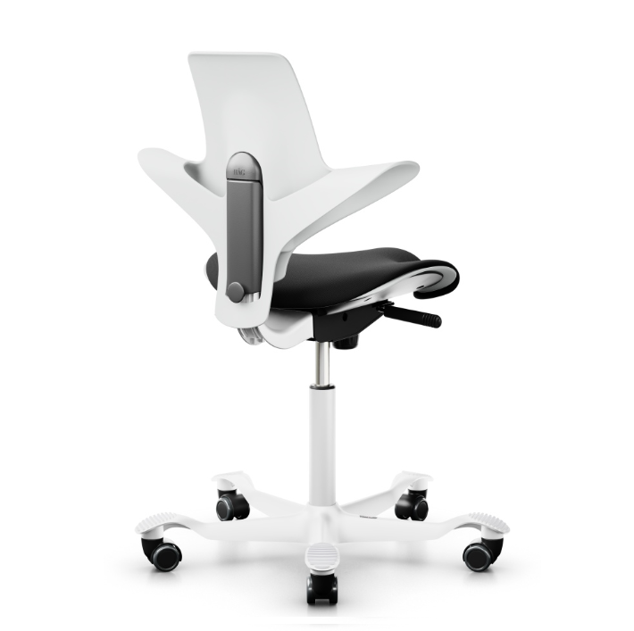 HAG Capisco Puls 8020