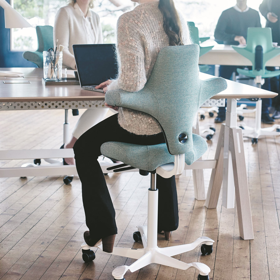 HAG Capisco Beispielbild