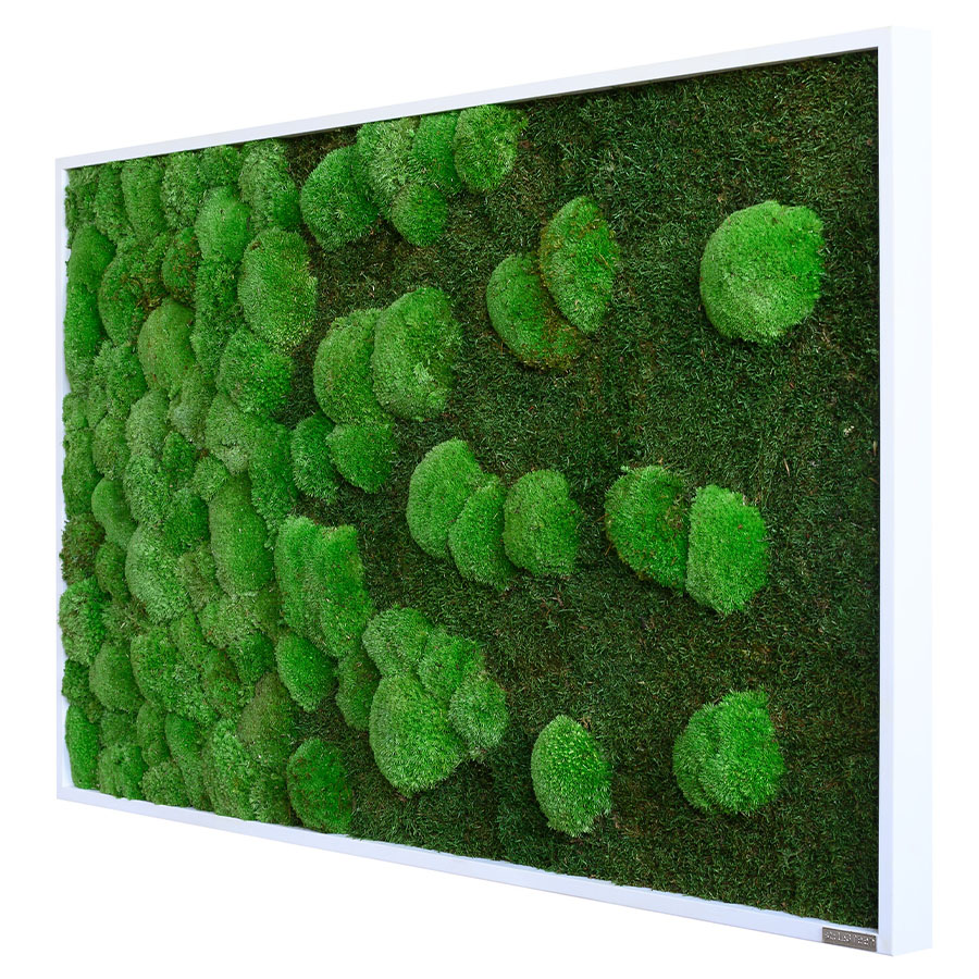 Moosbild im Wald- und Kugelmoosdesign mit Verlauf | 100x60cm | Vollholz Rahmen weiß
