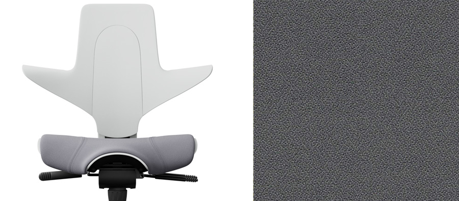 Hellgrau + Xtreme Grau 081 (PG 1)