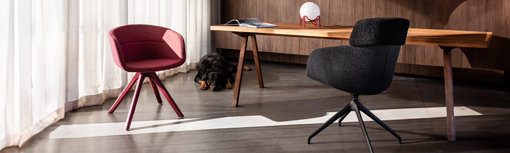 noti-paxt-drehgestell-banner-1