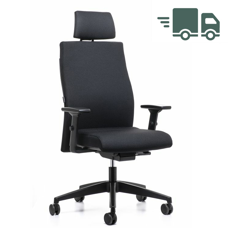 Interstuhl Aktionsmodell Ergonomic 179RS mit Kopfstütze