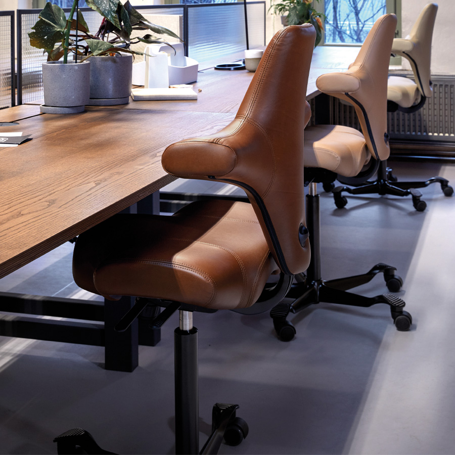 HAG CAPISCO 8106 Lederbezug Sonderleder Coffee