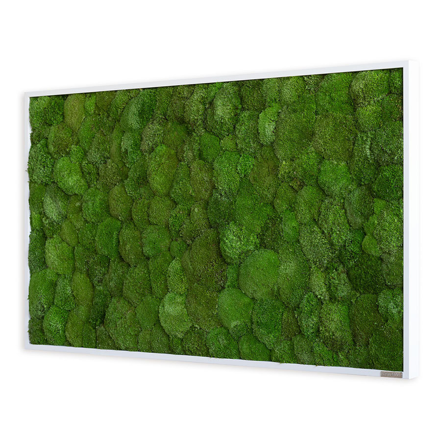 Moosbild im Kugelmoosdesign | 100x60cm | Vollholz Rahmen weiß