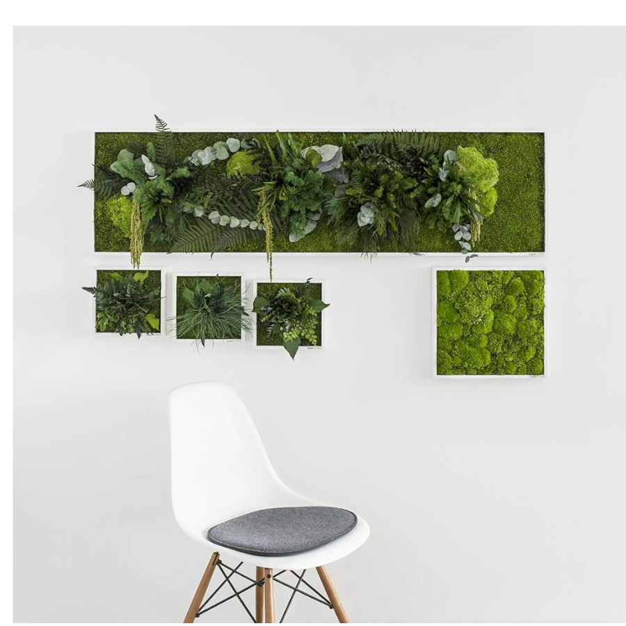 Pflanzenbild im Dschungeldesign Beispielbild
