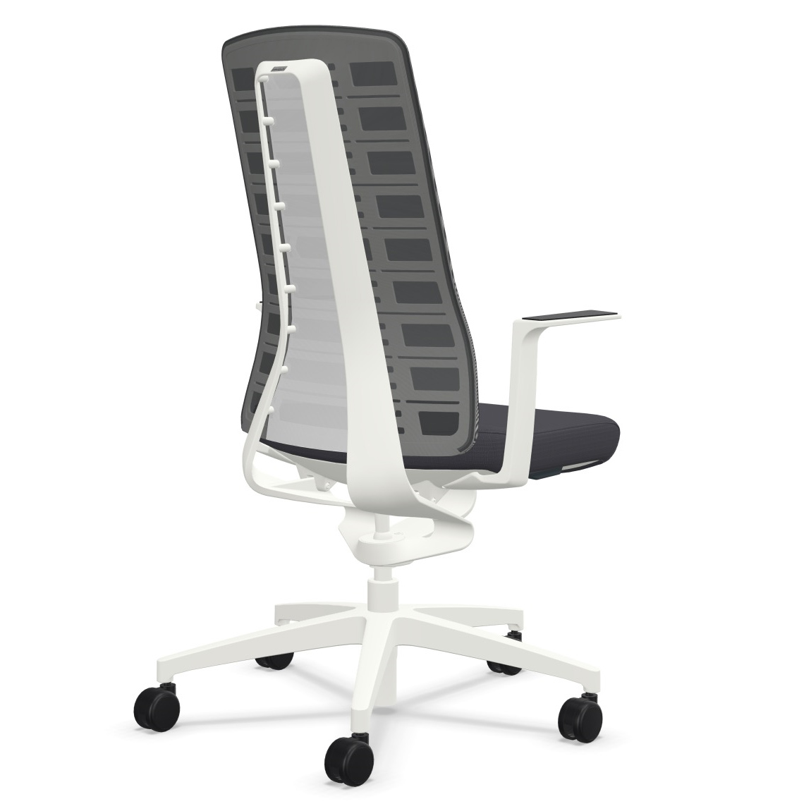 Interstuhl PUREis3 PU213 Rücken und Polster anthrazit von hinten