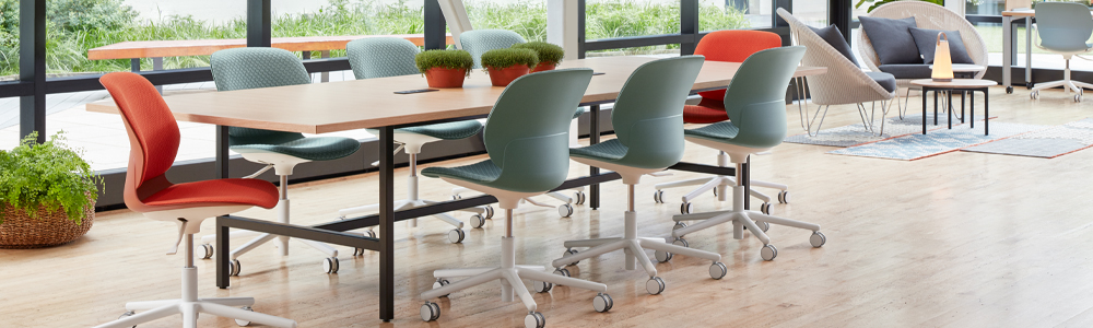 Haworth-Maari-Banner2