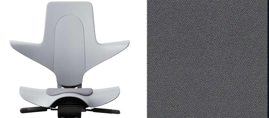 Grau + Xtreme 081 grau (PG1)