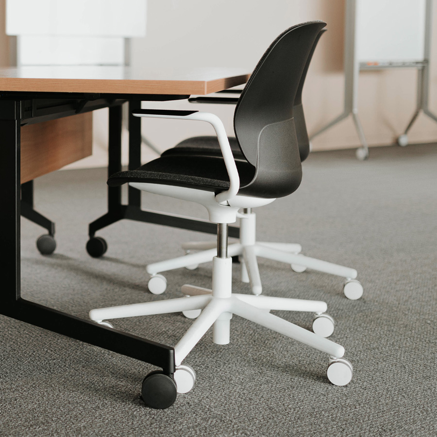 Haworth Maari - Beispielbild