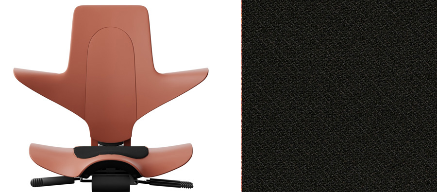 Rosehip + Xtreme schwarz 009 (PG1)