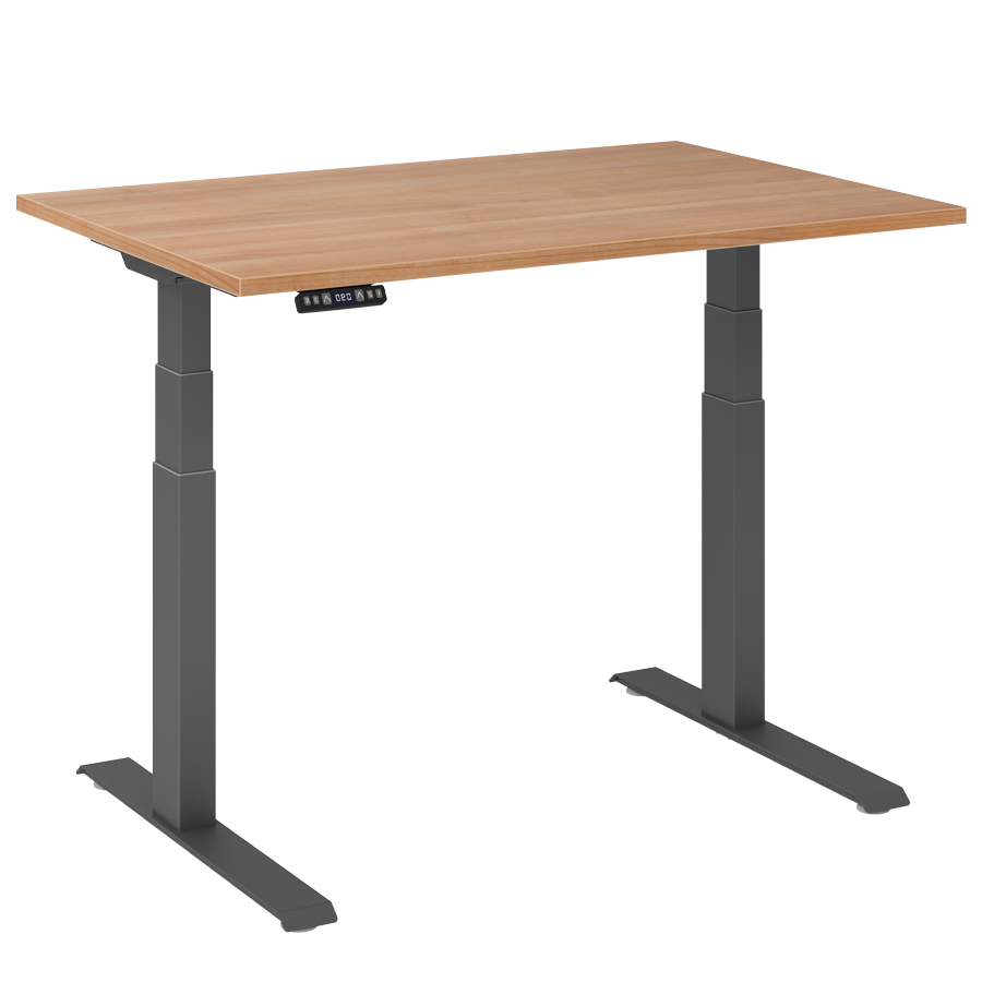 RWH RAPID Schreibtisch elektrisch verstellbar - Nussbaum - 120 cm Breite