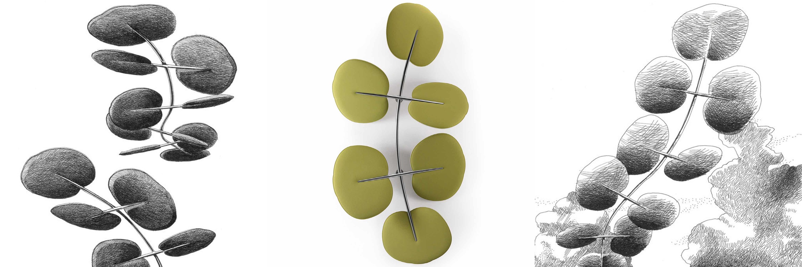 Caimi-Botanica-Banner2