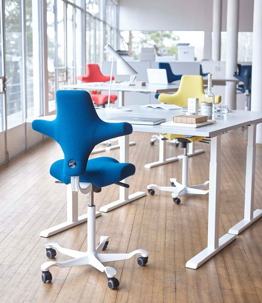 Hag Capisco 8106 mit weißem Gestell