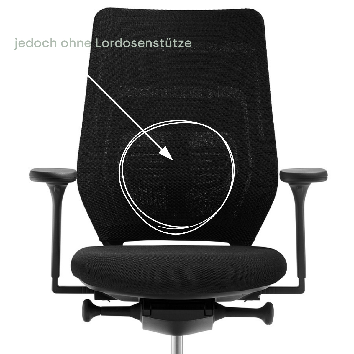 FM Asiento grau komfort Rückenlehne ohne Lordose (1)