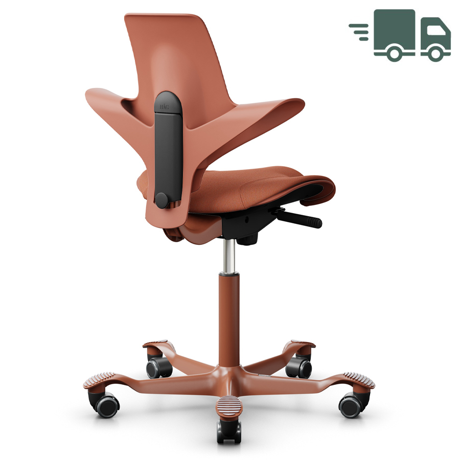 HAG Capisco Puls 8020 | Schale Rosehip | Bezug Capture Coral | Gestell Blush Rose | Rückseite