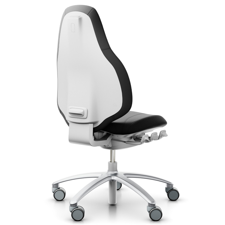 RH Mereo 220 silver-grey mit hoher Rückenlehne - Leder schwarz - Rückansicht