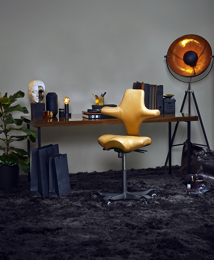 HAG Capisco Leder - Beispielbild