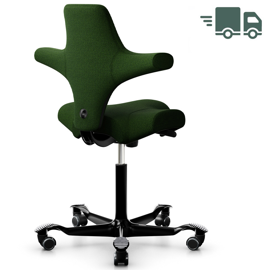 HAG CAPISCO 8106 - Stoff Capture 6501 - Gestell schwarz - Rückansicht